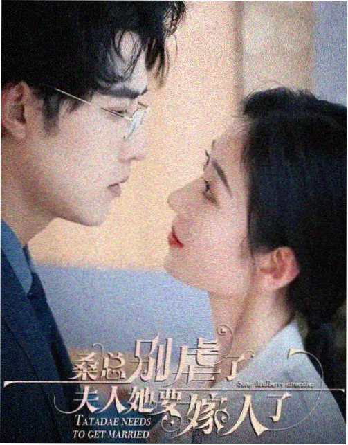 镰仓四季书信 日剧剧照